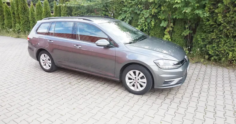 Volkswagen Golf cena 58000 przebieg: 89659, rok produkcji 2017 z Łódź małe 154